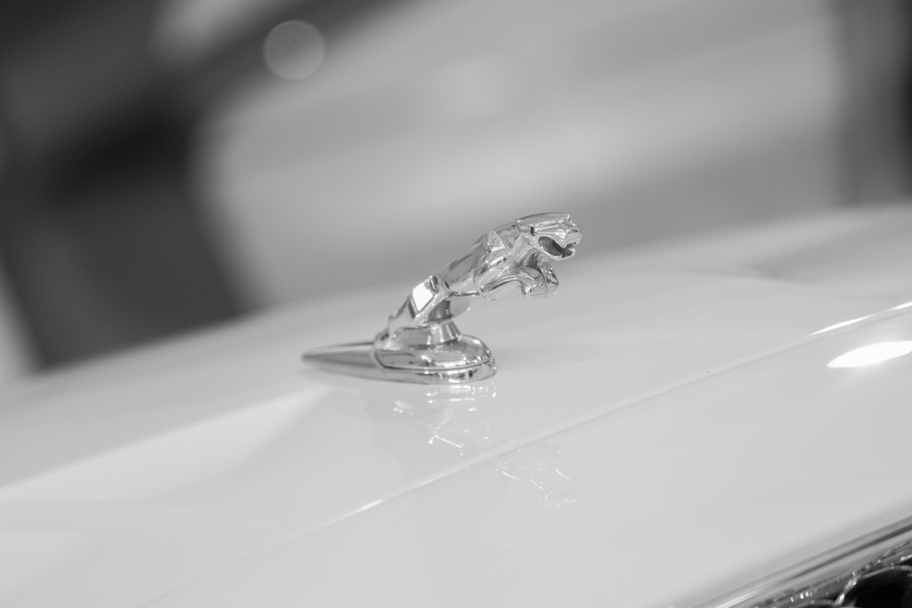 Jaguar XJL "Portfolio"