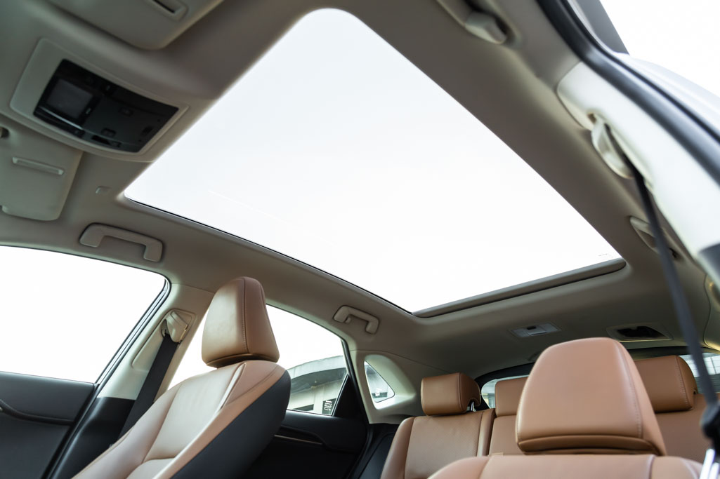 Lexus NX 300H Luxury