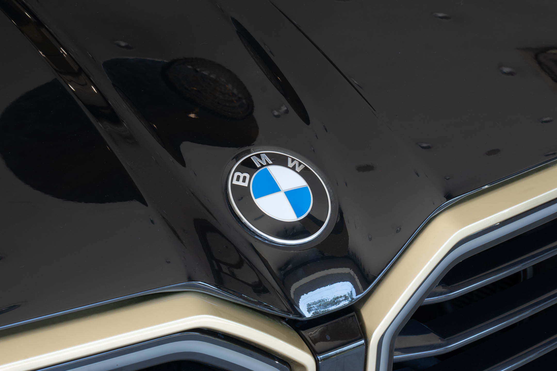 BMW XM