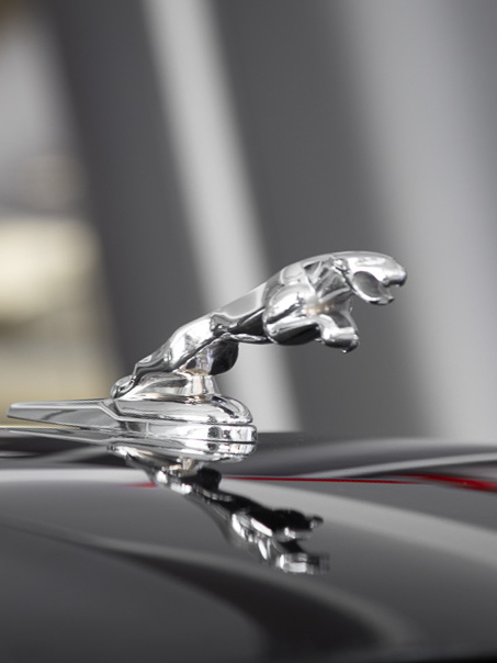 Jaguar F-Pace R-Dynamic S Exterior Image