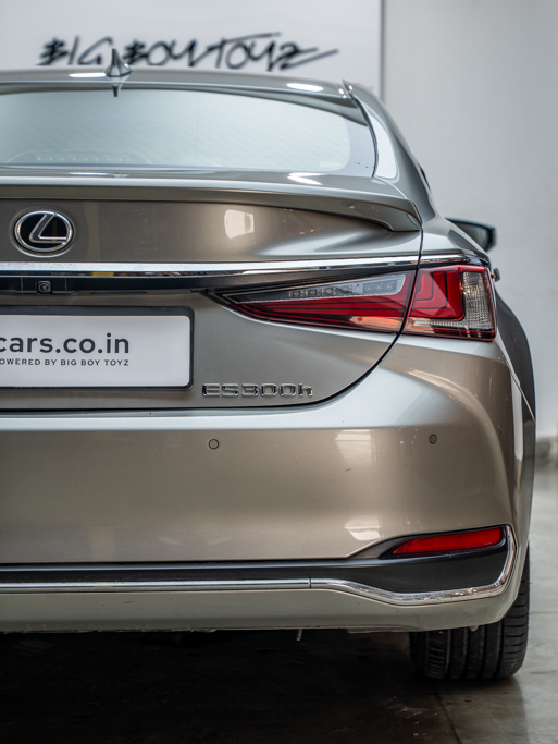 Lexus ES300h Exquisite Exterior Image