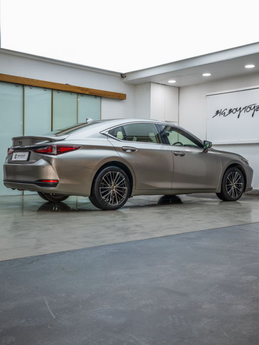 Lexus ES300h Exquisite Exterior Image