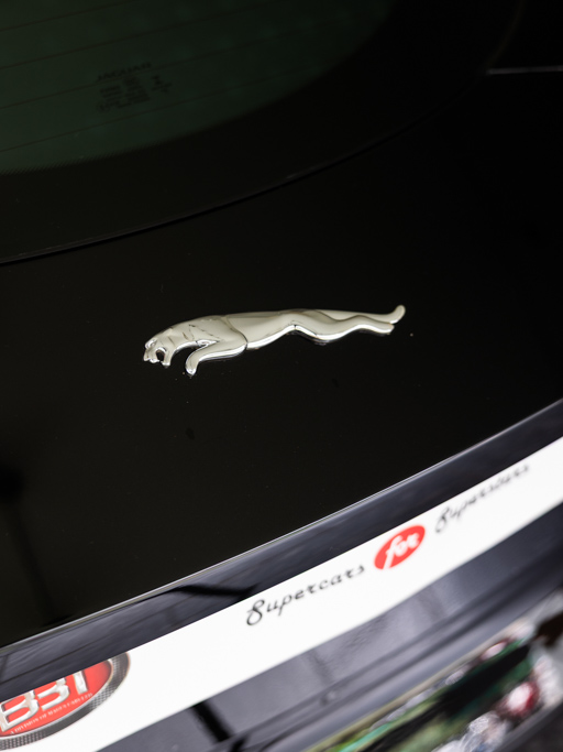 Jaguar F-Type S Exterior Image